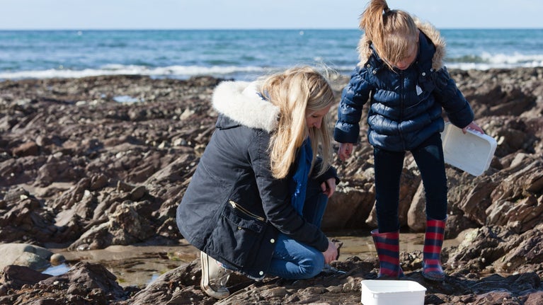 An adult and a child looking at what they've discovered when rock pooling at Wembury Beach in Devon